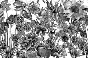 Black and White Floral - JRV Decoupage Paper